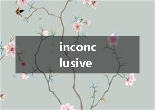 inconclusive是什么意思