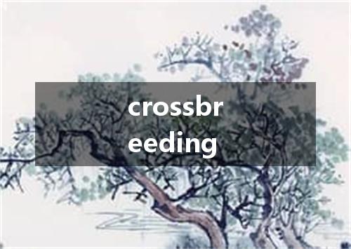 crossbreeding是什么意思