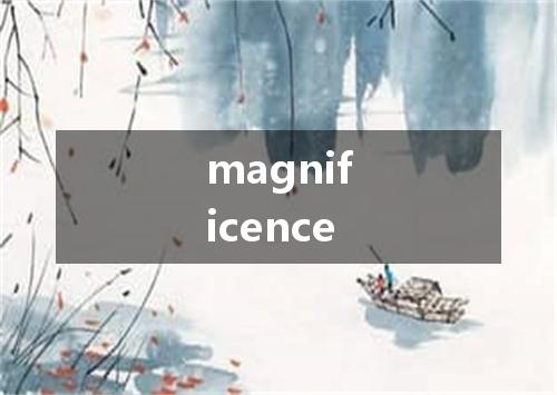 magnificence是什么意思
