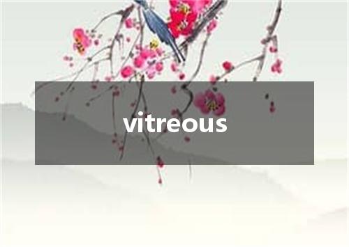 vitreous是什么意思