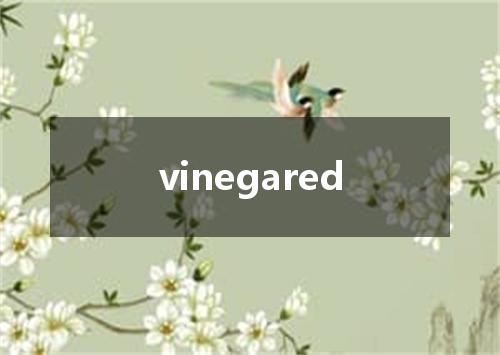 vinegared是什么意思
