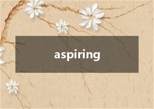 aspiring是什么意思