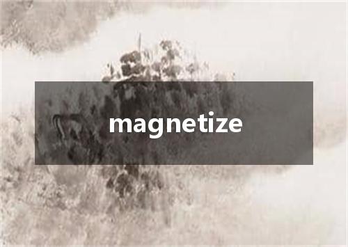 magnetize是什么意思