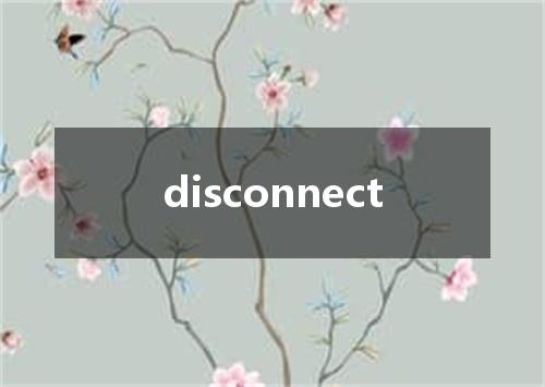 disconnect是什么意思