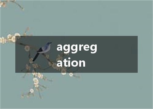 aggregation是什么意思
