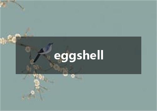 eggshell是什么意思