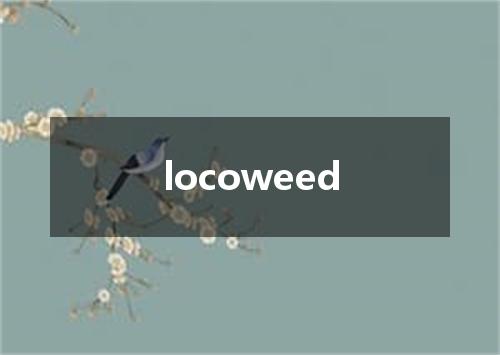 locoweed是什么意思