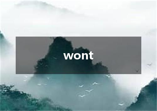wont是什么意思