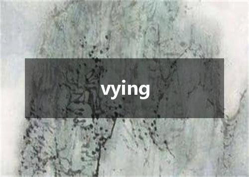 vying是什么意思