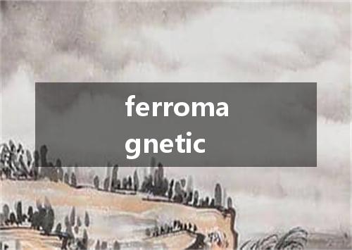 ferromagnetic是什么意思