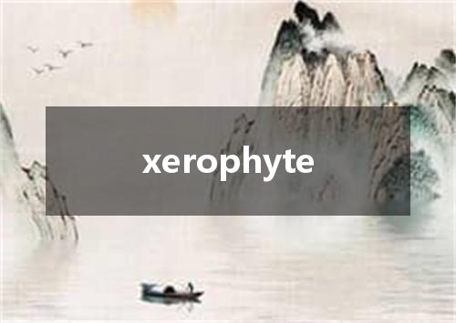 xerophyte是什么意思