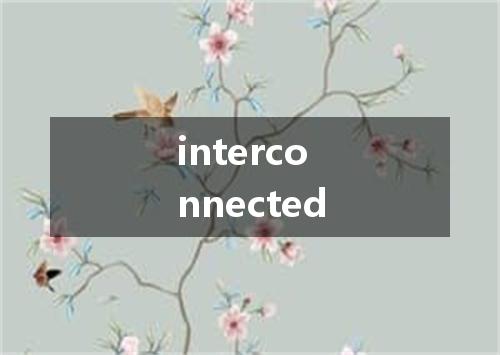 interconnected是什么意思