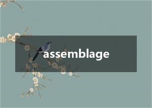 assemblage是什么意思