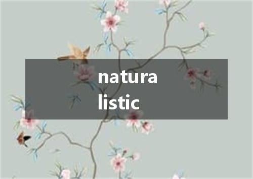 naturalistic是什么意思