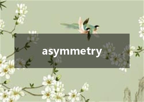 asymmetry是什么意思