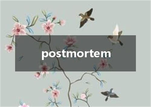 postmortem是什么意思