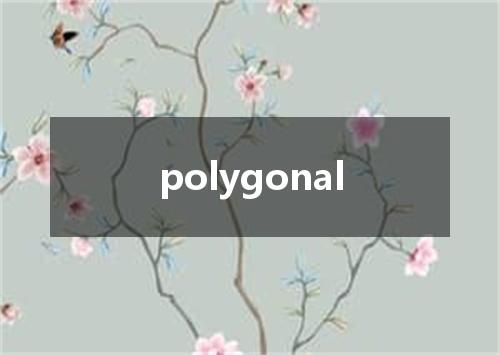 polygonal是什么意思
