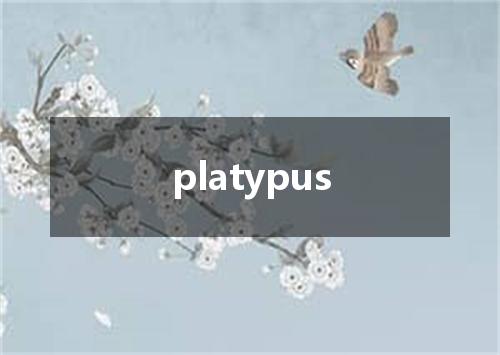 platypus是什么意思