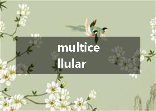 multicellular是什么意思