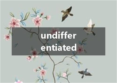 undifferentiated是什么意思