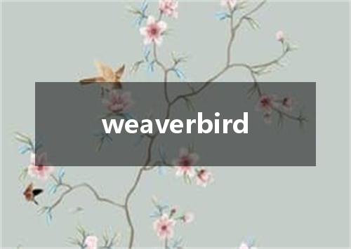 weaverbird是什么意思