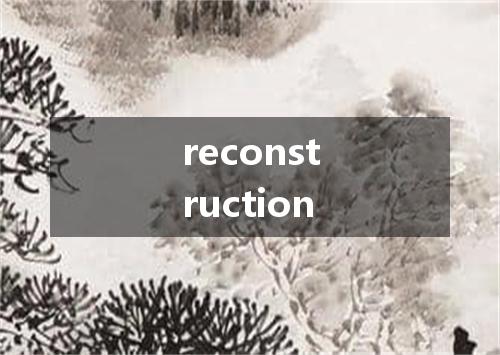reconstruction是什么意思