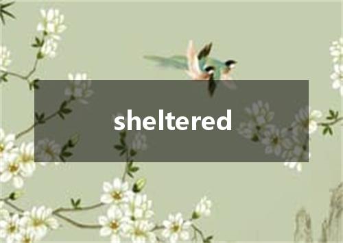 sheltered是什么意思