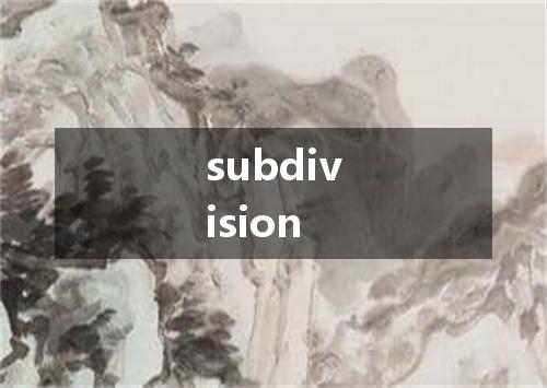 subdivision是什么意思