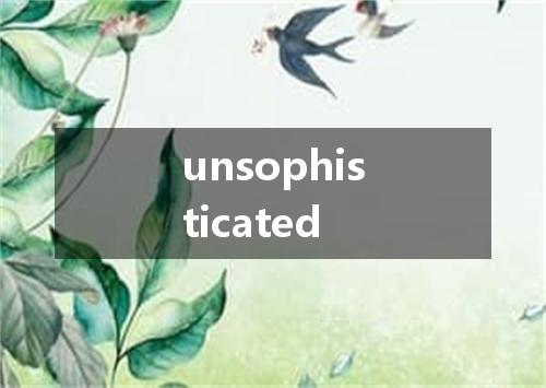 unsophisticated是什么意思
