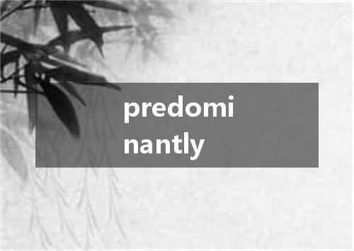 predominantly是什么意思