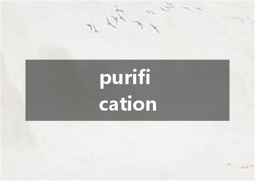 purification是什么意思