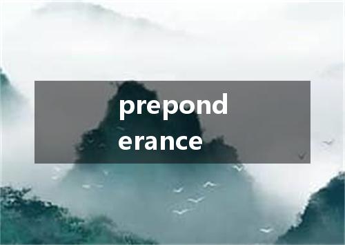 preponderance是什么意思