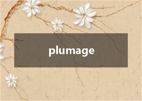 plumage是什么意思