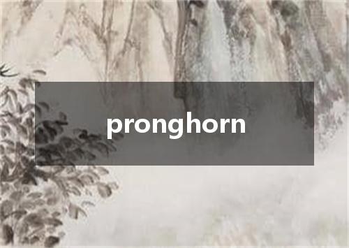 pronghorn是什么意思