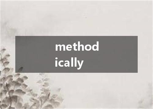 methodically是什么意思