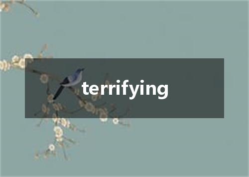 terrifying是什么意思