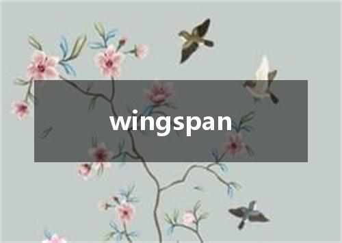 wingspan是什么意思