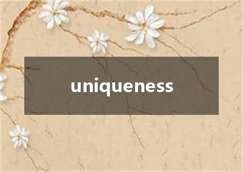 uniqueness是什么意思