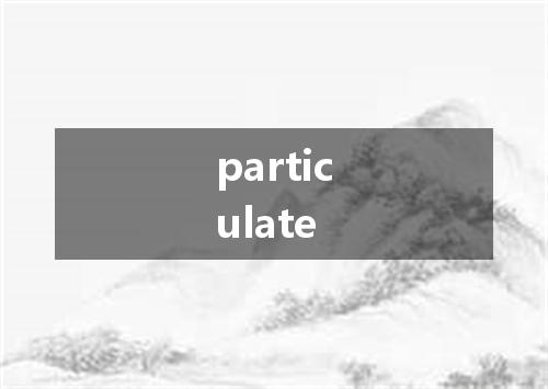 particulate是什么意思