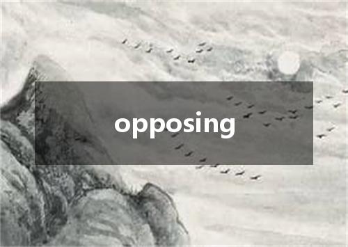 opposing是什么意思