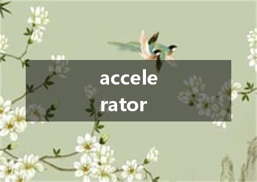 accelerator是什么意思