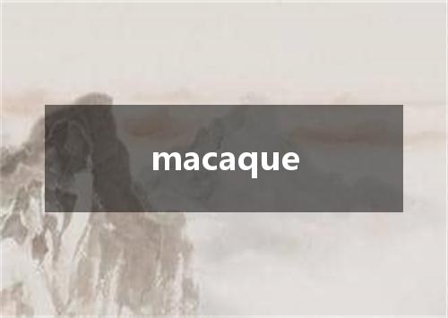 macaque是什么意思