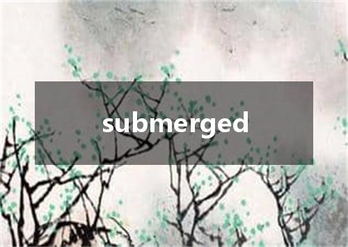 submerged是什么意思