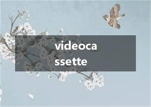 videocassette是什么意思