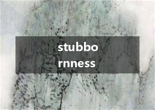 stubbornness是什么意思