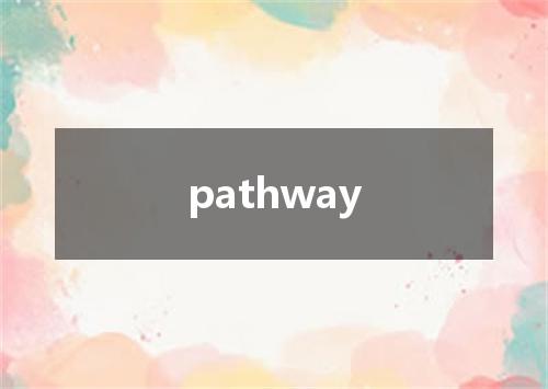 pathway是什么意思
