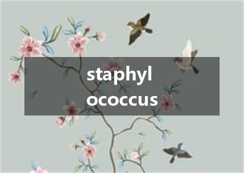 staphylococcus是什么意思