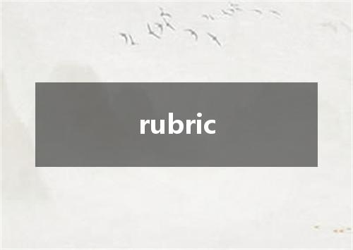 rubric是什么意思