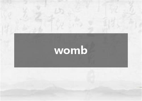 womb是什么意思