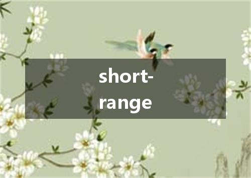 short-range是什么意思